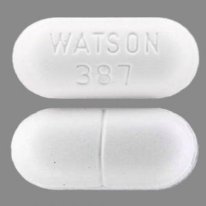 WATSON 387