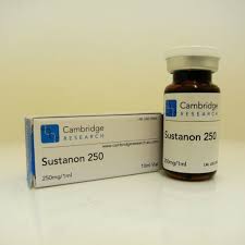 sustanon testosteron mix 250