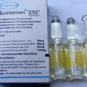 sustanon pakistan 250, sustanon pakistan, pakistan 250, amp organon, sustanon 250,